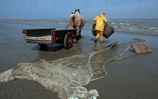 Shrimp trawler