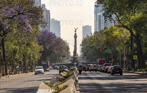 Traffic on Avenue Paseo de la Reforma