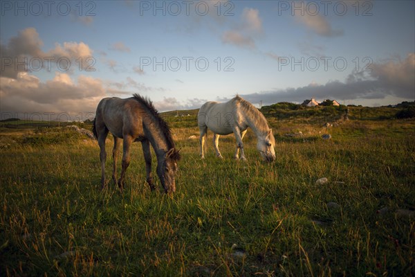 Irish lanscape along Wild Atlantic way in Galway