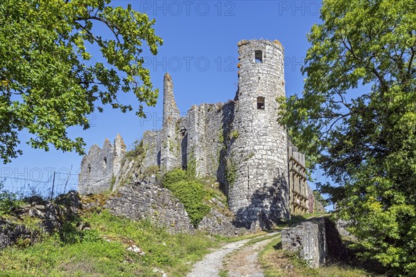 Chateau de Montaigle in summer