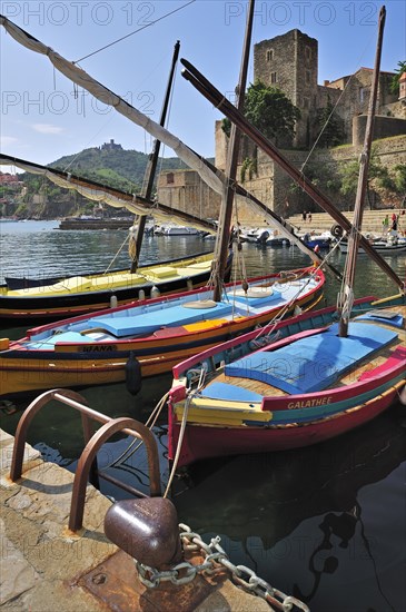 Traditional colourful fishing boats for fishing anchovies in the harbour at Collioure