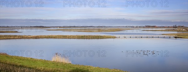 The Nature reserve Schouwen-Duiveland