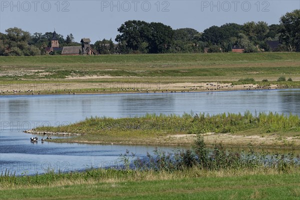 Elbe floodplain in the Altmark region in the Elbe River Landscape UNESCO Biosphere Reserve