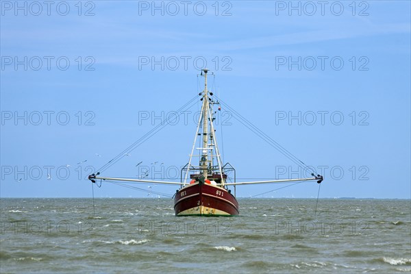 Shrimp boat fishing in the Wadden sea