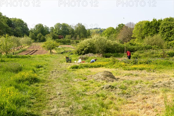 Henri's Field growing area