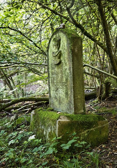 Monument zone Old Jewish cemetery in the forest