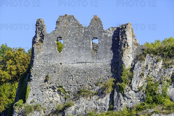 Chateau de Montaigle in summer