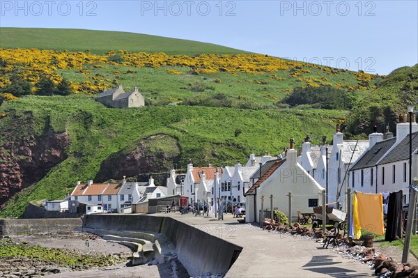 Pennan