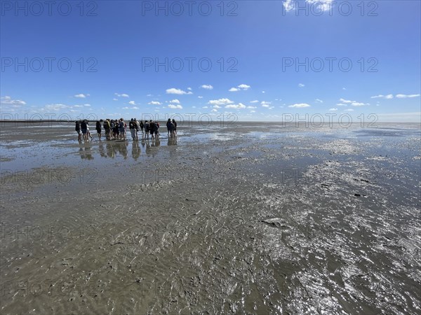 Mudflat walk