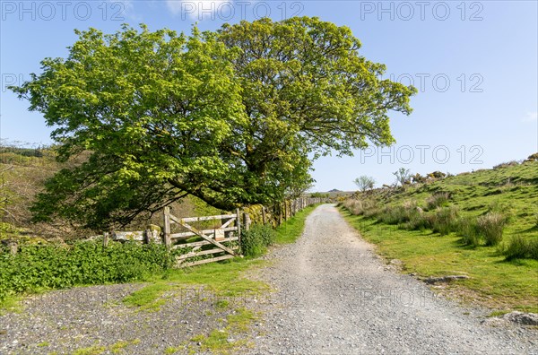 Walking route track West Dart valley walk