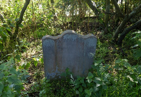 The Last Grave of All Saints church in woods on the cliff