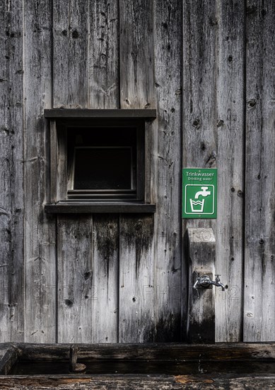 Drinking water on the wooden wall of a wooden shed