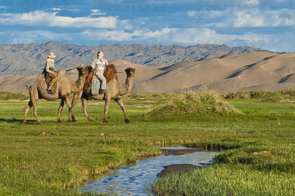 Tourist with Mongolian camel herder riding camels through lush green grassland towards the large sand dunes Khorgoryn Els in the Gobi Desert