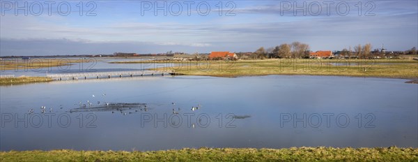 The Nature reserve Schouwen-Duiveland