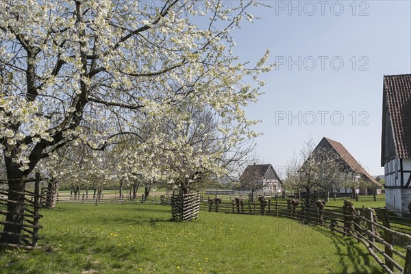 Westphalian Regional Museum of Folklore