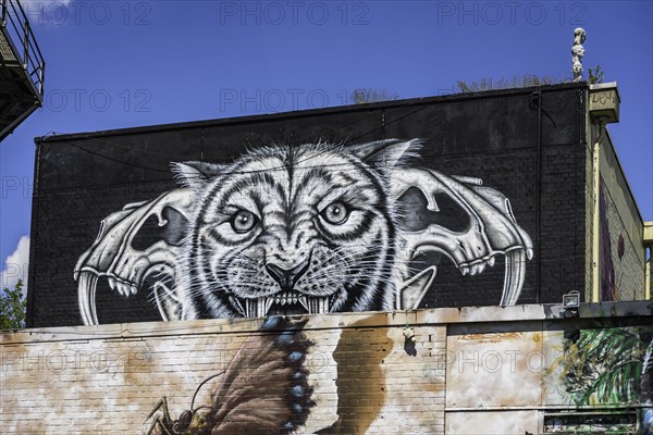 Graffiti on Teufelsberg