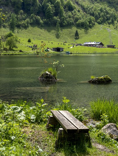 Landscape and nature reserves around the Obersee