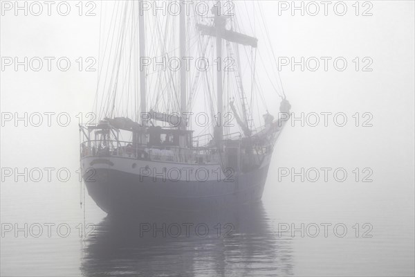 The tall ship