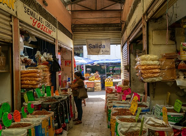 Interior of Mercado Municipal Lucas de Galvez market