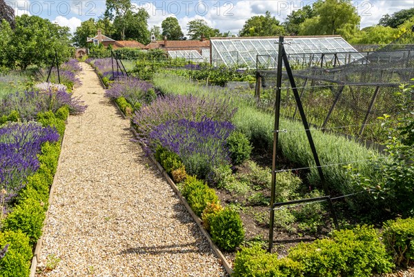 Walled kitchen garden Redisham Hall gardens and plant nursery