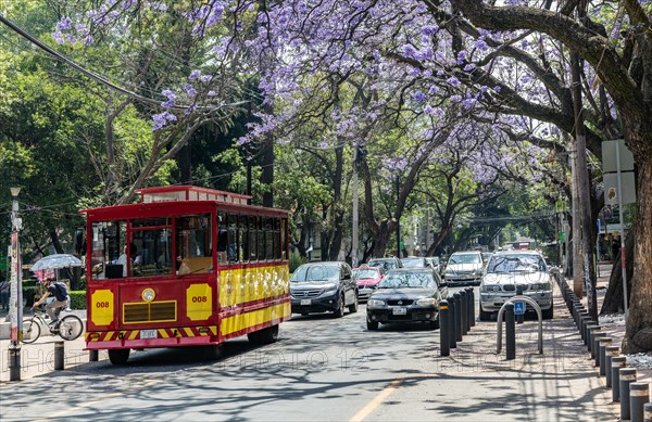 Tranvia Turistico historic tourist tram vehicle