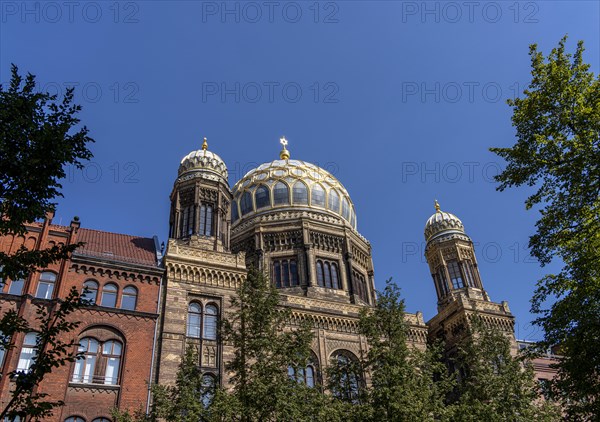 Tambour dome