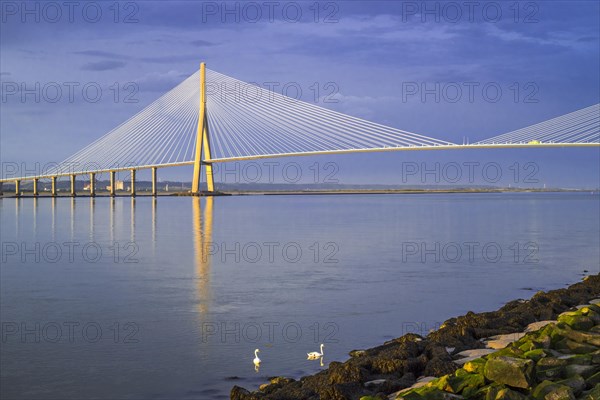 Pont de Normandie