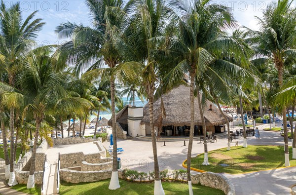 Thatched restaurant building and palm trees at Hotel Casa Maya