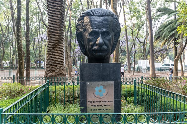 Albert Einstein bust