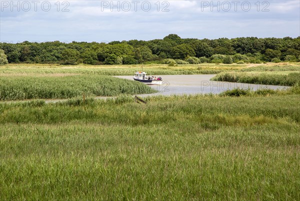 Tilly Too boat trip