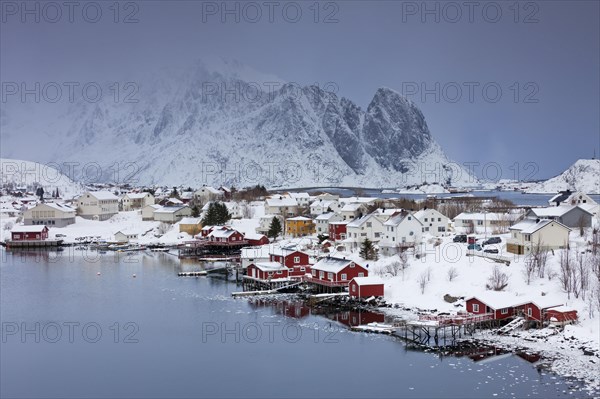 Robur cottages at fishing village Reine in the snow in winter