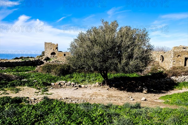 Ruins of Occi. Abandoned for centuries