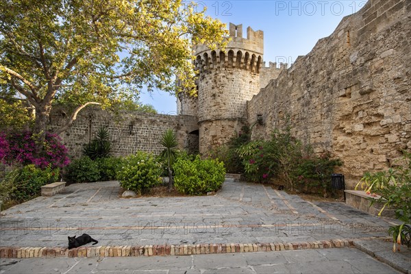 View of Palace of the Grand Master of the Knights of Rhodes