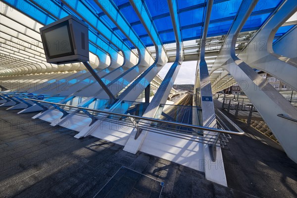 Screen at Liege-Guillemins station