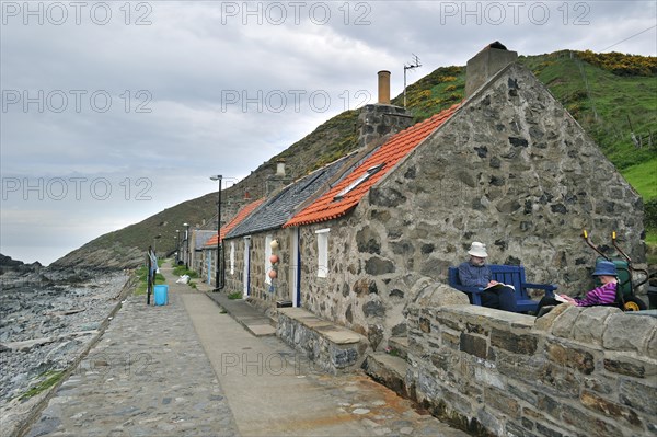 Crovie