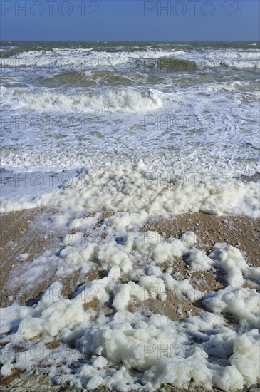 Sea foam