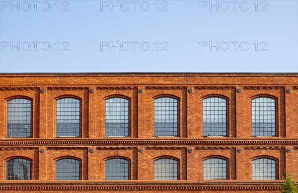 Rows of windows