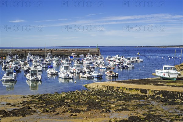 Jetty and motor boats in the port