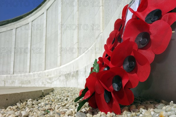 Poppies at the Tyne Cot Memorial to the Missing