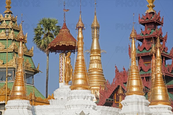 Golden stupas in the Shwedagon Zedi Daw Pagoda at Yangon