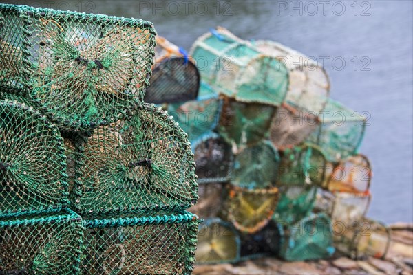 Stacked lobster creels