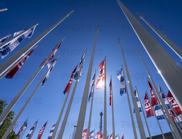 Flagpoles with IFA flags