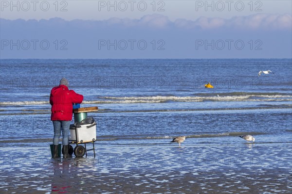 Shrimper sorting catch from shrimp drag net