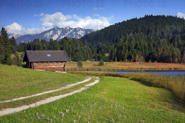 Wooden huts