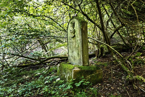 Monument zone Old Jewish cemetery in the forest