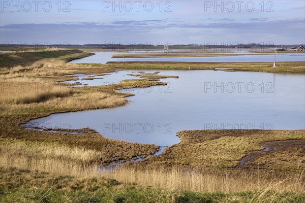 The nature reserve Schouwen-Duiveland