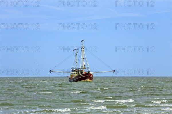 Shrimp boat fishing in the Wadden sea