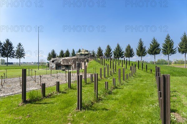 Reconstruction of the Esch casemate as part of the Maginot Line with barbed wire house