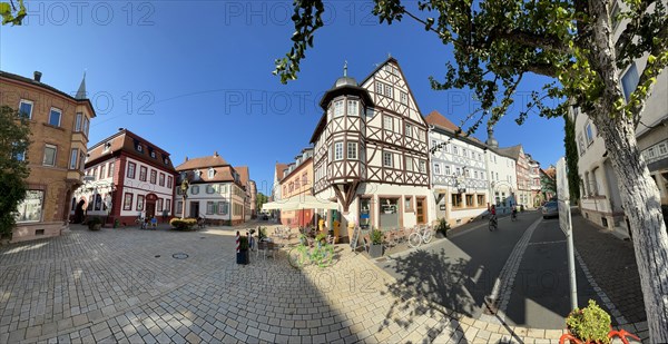 Half-timbered houses