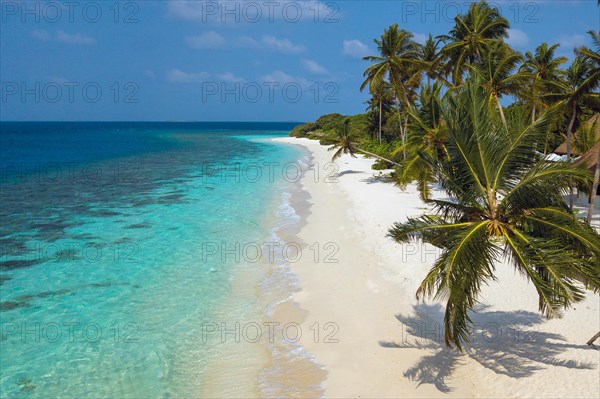 View of small gentle waves washing up on white sandy beach with coconut seed